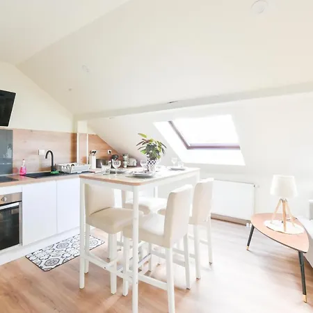 Apogee Mulhousienne ミュルーズ