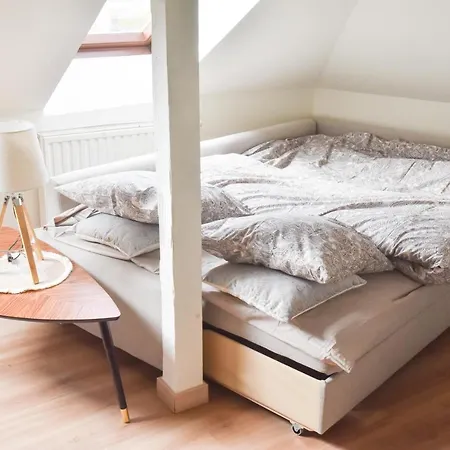 Apogee Mulhousienne ミュルーズ