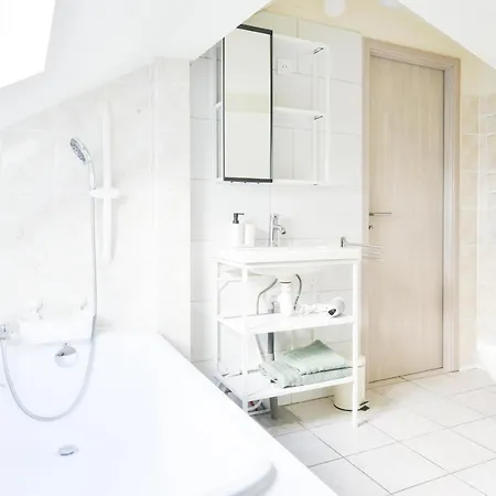 Apogee Mulhousienne *