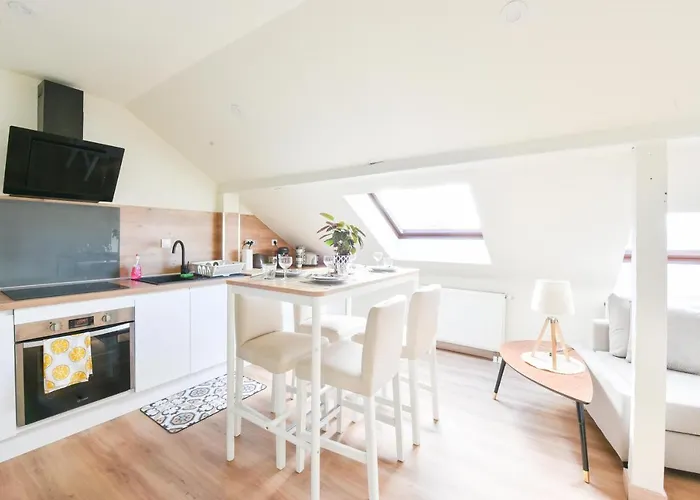 Apogee Mulhousienne Miluza