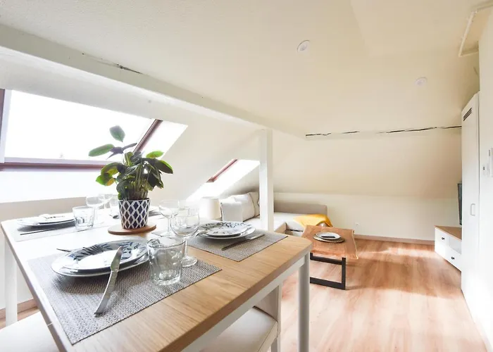 Apartament Apogee Mulhousienne Miluza