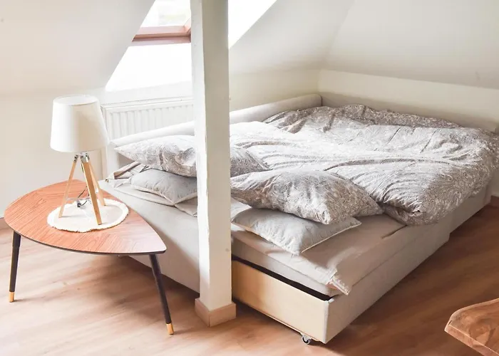 Apogee Mulhousienne Miluza