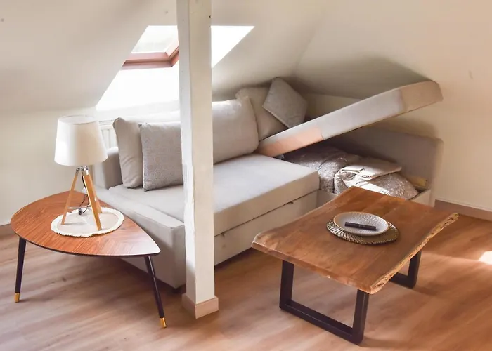 Apartament Apogee Mulhousienne *